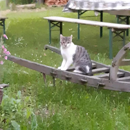 アパート Am Hohestein Briedeler Heck