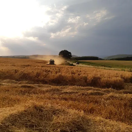 Am Hohestein Briedeler Heck