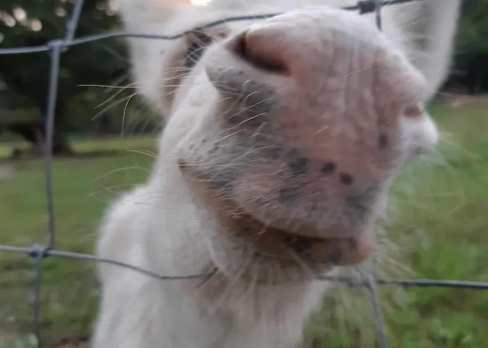 Am Hohestein Apartamento