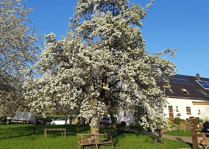 Am Hohestein Apartamento Briedeler Heck