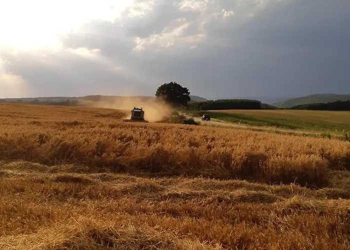 Am Hohestein Briedeler Heck